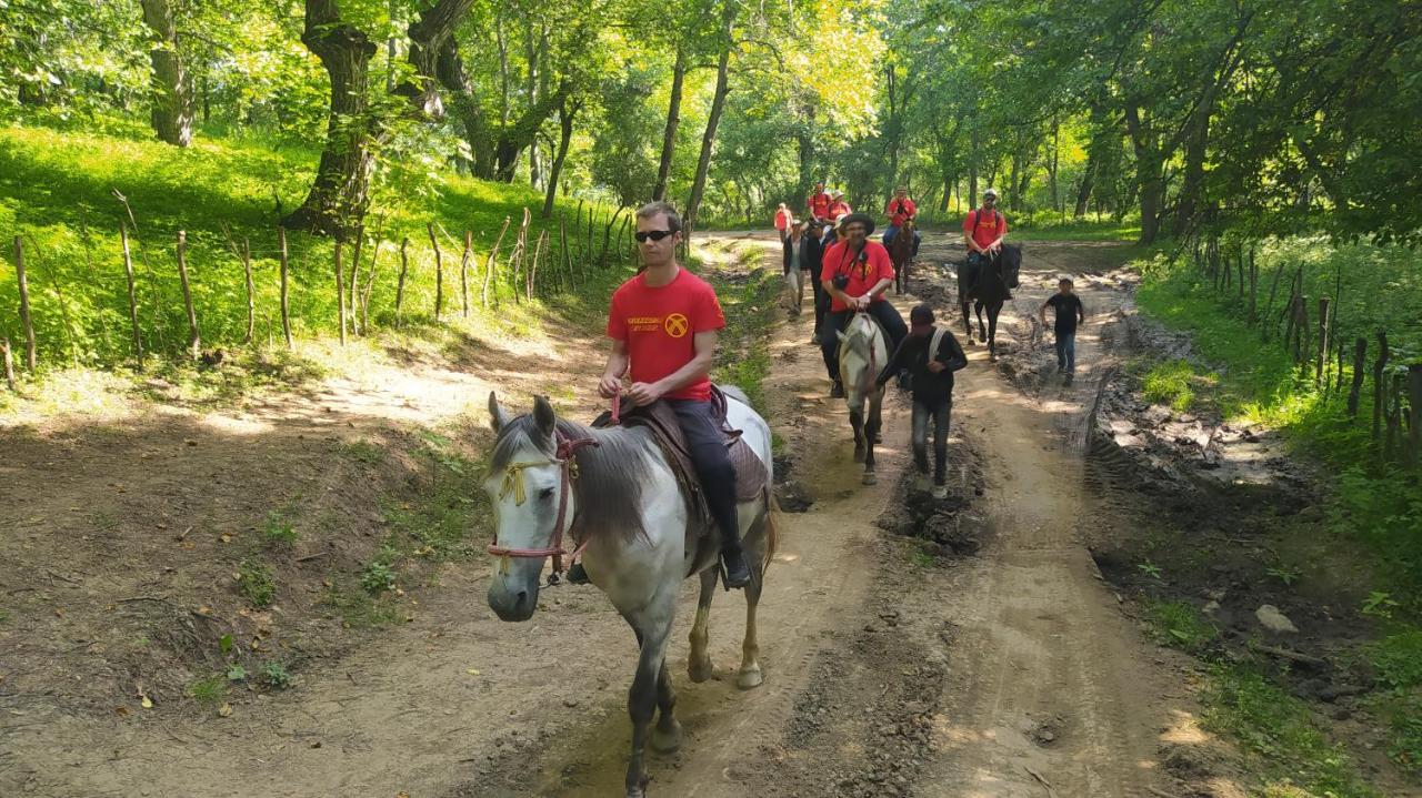 Отель Panorama Arslanbob Экстерьер фото