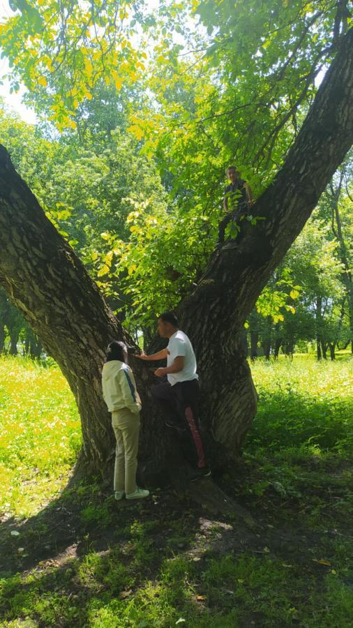 Отель Panorama Arslanbob Экстерьер фото